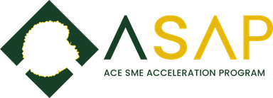 ASAP - ACE SME Acceleration Program